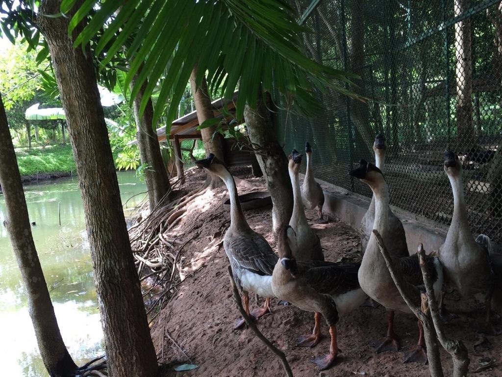 Phu Pha Nam Resort Dan Sai Bagian luar foto