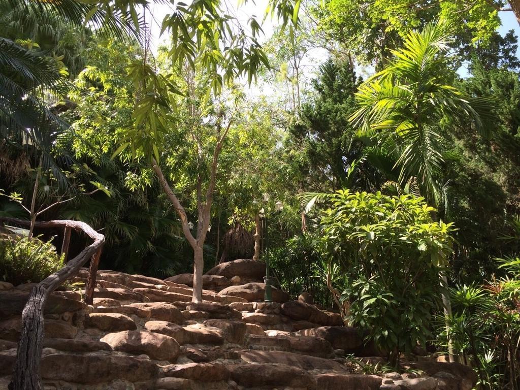 Phu Pha Nam Resort Dan Sai Bagian luar foto